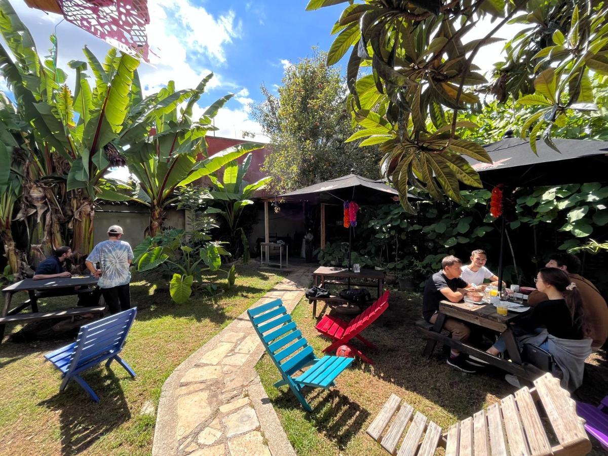 The Coffee Bean Hostel San Cristóbal de Las Casas Buitenkant foto